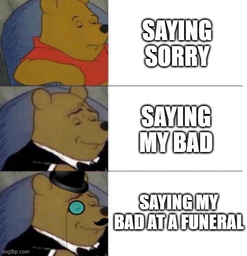 Tuxedo Winnie the Pooh (3 panel) | SAYING SORRY; SAYING MY BAD; SAYING MY BAD AT A FUNERAL | image tagged in tuxedo winnie the pooh 3 panel | made w/ Imgflip meme maker