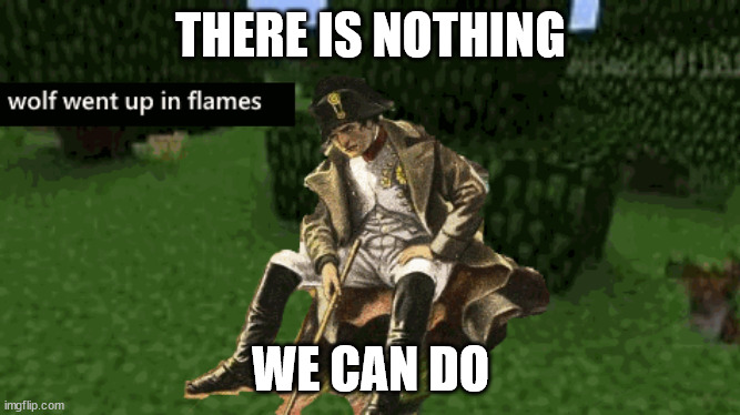 nooo | THERE IS NOTHING; WE CAN DO | image tagged in memes | made w/ Imgflip meme maker