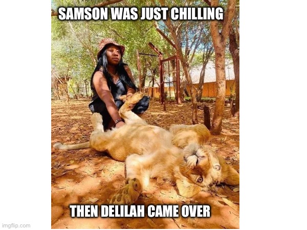 Samson and Delilah | SAMSON WAS JUST CHILLING; THEN DELILAH CAME OVER | image tagged in funny memes | made w/ Imgflip meme maker