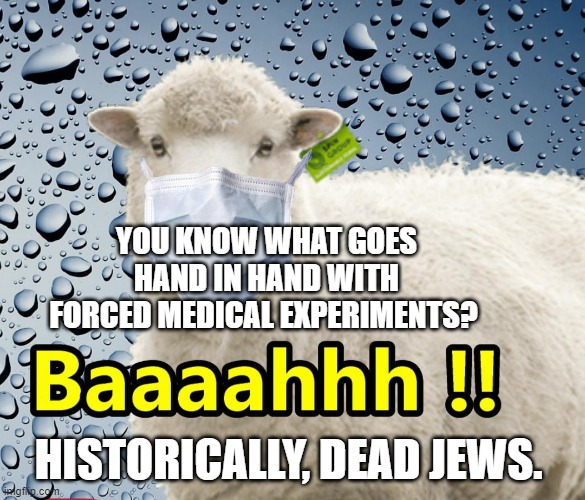 Mask up America | YOU KNOW WHAT GOES HAND IN HAND WITH FORCED MEDICAL EXPERIMENTS? HISTORICALLY, DEAD JEWS. | image tagged in mask up america | made w/ Imgflip meme maker