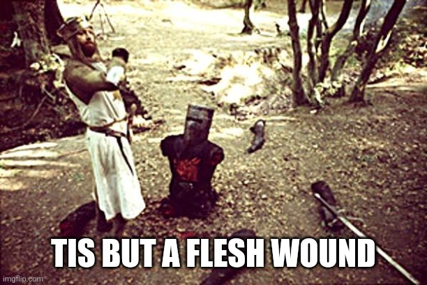 Black Knight | TIS BUT A FLESH WOUND | image tagged in black knight | made w/ Imgflip meme maker