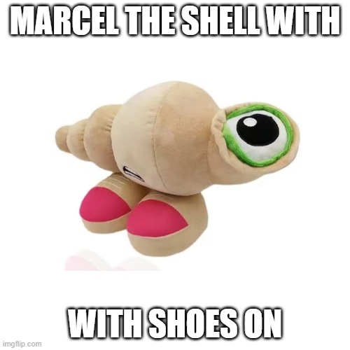 Marcel | MARCEL THE SHELL WITH; WITH SHOES ON | image tagged in marcel,the,shell,with,shoes,on | made w/ Imgflip meme maker