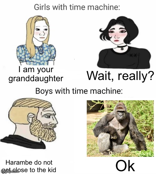 Time machine | I am your granddaughter; Wait, really? Harambe do not get close to the kid; Ok | image tagged in time machine | made w/ Imgflip meme maker