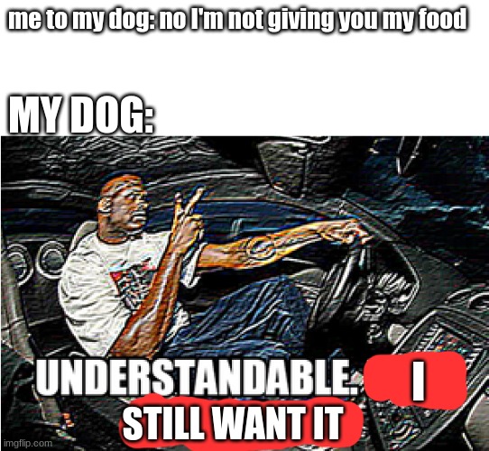 UNDERSTANDABLE, HAVE A GREAT DAY | me to my dog: no I'm not giving you my food; MY DOG:; I; STILL WANT IT | image tagged in understandable have a great day,dog,dogs | made w/ Imgflip meme maker