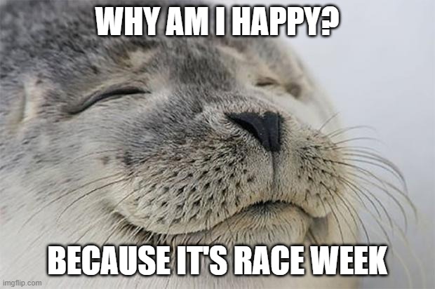 It's Race Week | WHY AM I HAPPY? BECAUSE IT'S RACE WEEK | image tagged in memes,satisfied seal | made w/ Imgflip meme maker