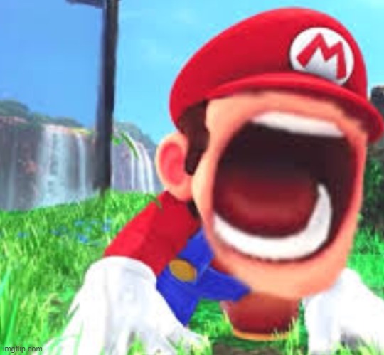 Ow oof ouchie Mario scraem | image tagged in ow oof ouchie mario scraem | made w/ Imgflip meme maker
