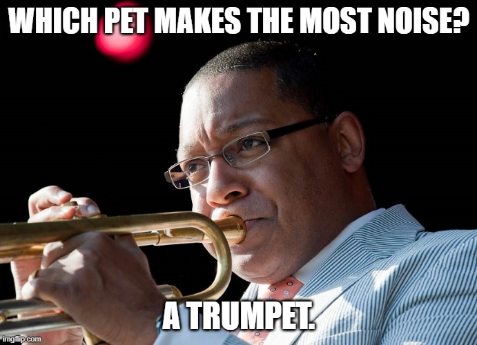 Daily Bad Dad Joke October 16, 2023 | WHICH PET MAKES THE MOST NOISE? A TRUMPET. | image tagged in trumpet | made w/ Imgflip meme maker