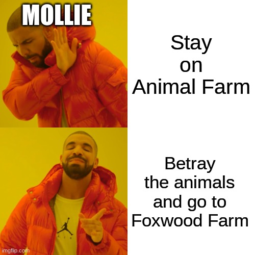 Drake Hotline Bling Meme | MOLLIE; Stay on Animal Farm; Betray the animals and go to Foxwood Farm | image tagged in memes,drake hotline bling | made w/ Imgflip meme maker
