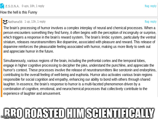 idk if this counts, but ill put it here | BRO ROASTED HIM SCIENTIFICALLY | image tagged in rareinsults | made w/ Imgflip meme maker