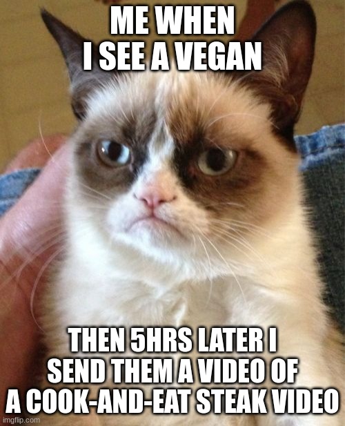 Grumpy Cat | ME WHEN I SEE A VEGAN; THEN 5HRS LATER I SEND THEM A VIDEO OF A COOK-AND-EAT STEAK VIDEO | image tagged in memes,grumpy cat | made w/ Imgflip meme maker