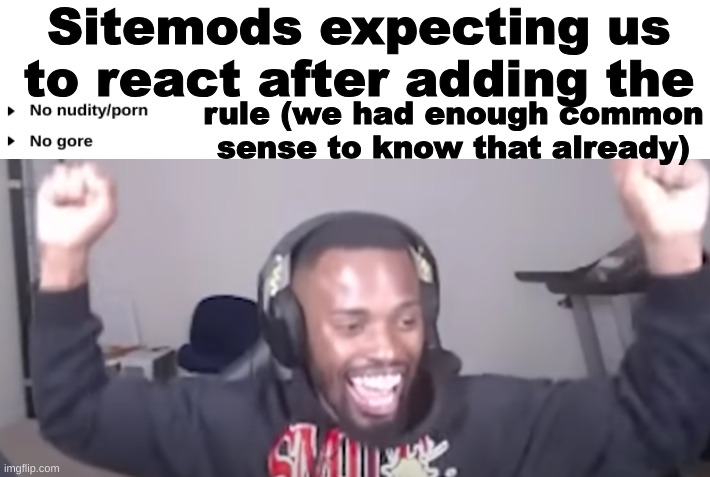 light hearted joke | Sitemods expecting us to react after adding the; rule (we had enough common sense to know that already) | image tagged in shitpost,msmg,oh wow are you actually reading these tags | made w/ Imgflip meme maker