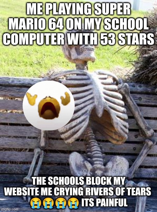 the sm64 lose of oct 16 2023 | ME PLAYING SUPER MARIO 64 ON MY SCHOOL COMPUTER WITH 53 STARS; THE SCHOOLS BLOCK MY WEBSITE ME CRYING RIVERS OF TEARS 
😭😭😭😭 ITS PAINFUL | image tagged in memes,waiting skeleton | made w/ Imgflip meme maker