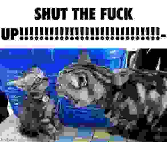 SHUT THE FUCK UP!!!!!!!!!!!!! | image tagged in shut the fuck up | made w/ Imgflip meme maker