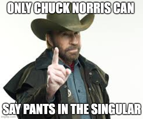 Only Chuck Norris | ONLY CHUCK NORRIS CAN; SAY PANTS IN THE SINGULAR | image tagged in chuck norris | made w/ Imgflip meme maker