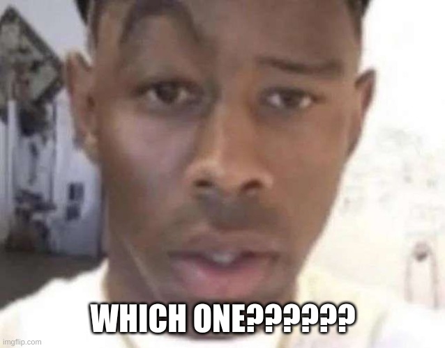 Tyler The Creator Eyebrow Raise | WHICH ONE?????? | image tagged in tyler the creator eyebrow raise | made w/ Imgflip meme maker