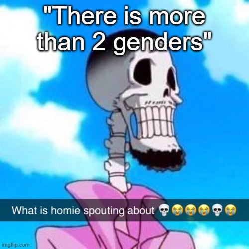 What is homie spouting about | "There is more than 2 genders" | image tagged in what is homie spouting about | made w/ Imgflip meme maker