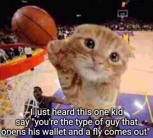 ballin cat | I just heard this one kid say "you're the type of guy that opens his wallet and a fly comes out" | image tagged in ballin cat | made w/ Imgflip meme maker