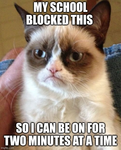 Grumpy Cat | MY SCHOOL BLOCKED THIS; SO I CAN BE ON FOR TWO MINUTES AT A TIME | image tagged in memes,grumpy cat | made w/ Imgflip meme maker