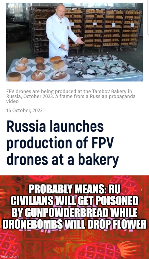 PROBABLY MEANS: RU CIVILIANS WILL GET POISONED BY GUNPOWDERBREAD WHILE DRONEBOMBS WILL DROP FLOWER | image tagged in a few moments later,NAFO | made w/ Imgflip meme maker