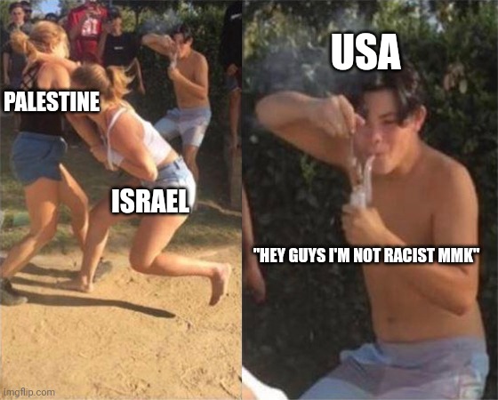 I'm starting to thing other countries dont care about racism so much | USA; PALESTINE; ISRAEL; "HEY GUYS I'M NOT RACIST MMK" | image tagged in two girls fighting,usa,palestine,israel,ww3 | made w/ Imgflip meme maker