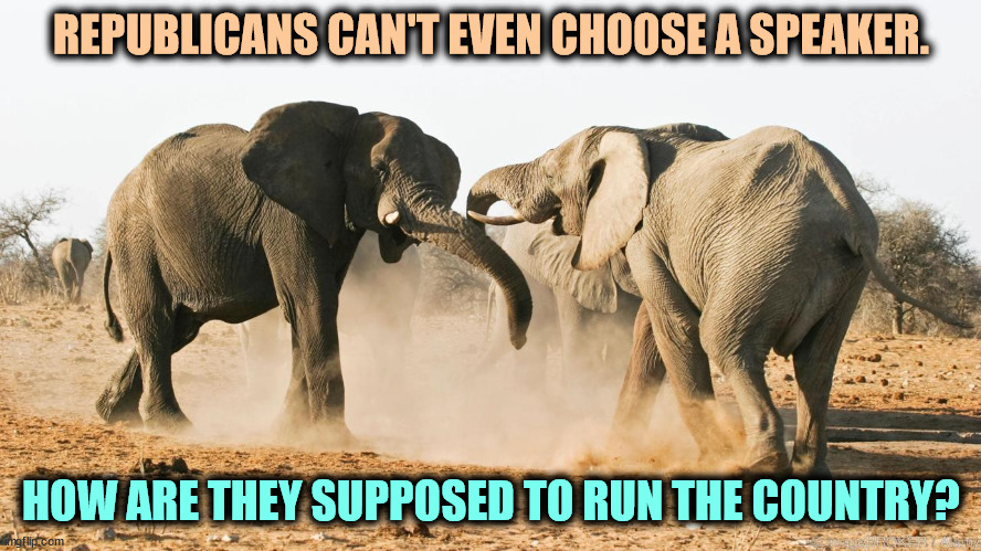 REPUBLICANS CAN'T EVEN CHOOSE A SPEAKER. HOW ARE THEY SUPPOSED TO RUN THE COUNTRY? | image tagged in republican,fighting,civil war,incompetence | made w/ Imgflip meme maker