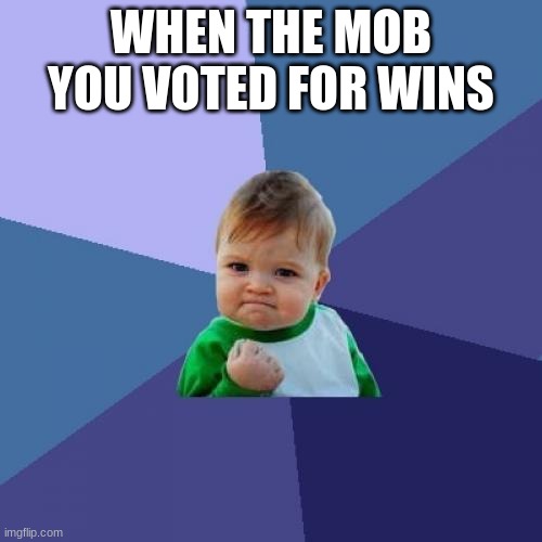 Success Kid Meme | WHEN THE MOB YOU VOTED FOR WINS | image tagged in memes,success kid | made w/ Imgflip meme maker