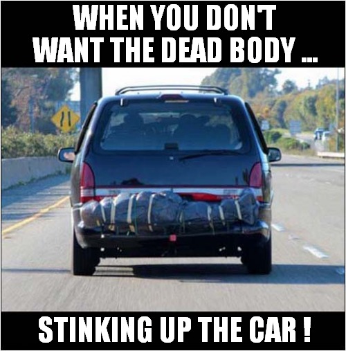 On A Trip To The Dump ! | WHEN YOU DON'T WANT THE DEAD BODY ... STINKING UP THE CAR ! | image tagged in body,disposal,dump | made w/ Imgflip meme maker