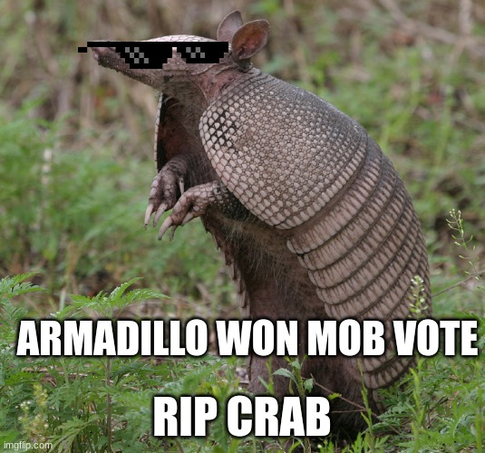 we had to choose the blue mob.... what is wrong with yall | ARMADILLO WON MOB VOTE; RIP CRAB | image tagged in armadillo | made w/ Imgflip meme maker