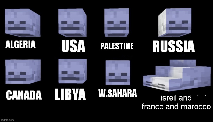 Empty Skulls of truth but in different country | PALESTINE; USA; RUSSIA; ALGERIA; LIBYA; W.SAHARA; CANADA; isreil and france and marocco | image tagged in empty skulls of truth minecraft | made w/ Imgflip meme maker