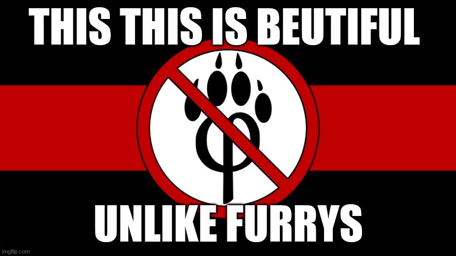 anti furry flag | THIS THIS IS BEUTIFUL; UNLIKE FURRYS | image tagged in anti furry flag | made w/ Imgflip meme maker