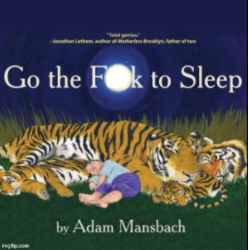 Go the F?k to Sleep | image tagged in go the f k to sleep | made w/ Imgflip meme maker
