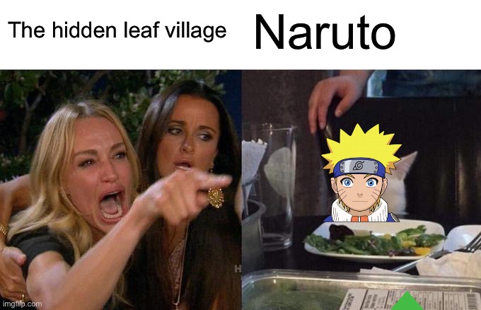 The whole series of Naruto | Naruto; The hidden leaf village | image tagged in memes,woman yelling at cat | made w/ Imgflip meme maker