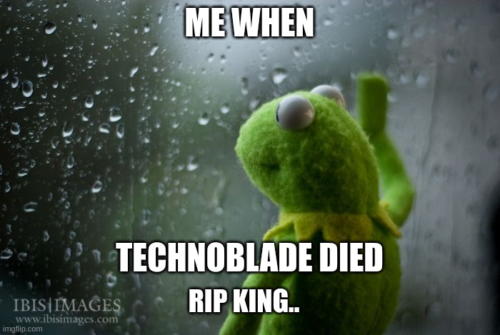 RIP technoblade :[ [Gray note - Me even now despite it being almost two years] | ME WHEN; TECHNOBLADE DIED; RIP KING.. | image tagged in kermit window | made w/ Imgflip meme maker