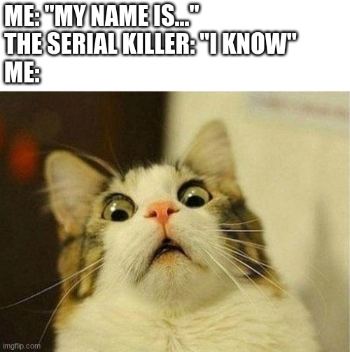 Scared Cat Meme | ME: "MY NAME IS..."
THE SERIAL KILLER: "I KNOW"
ME: | image tagged in memes,scared cat | made w/ Imgflip meme maker