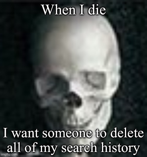 Skull | When I die; I want someone to delete all of my search history | image tagged in skull | made w/ Imgflip meme maker