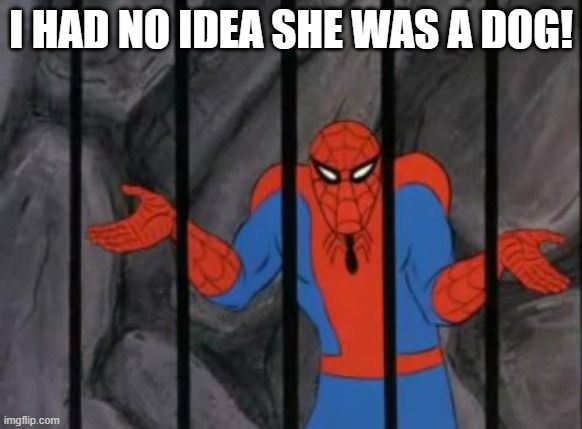 spiderman jail | I HAD NO IDEA SHE WAS A DOG! | image tagged in spiderman jail | made w/ Imgflip meme maker