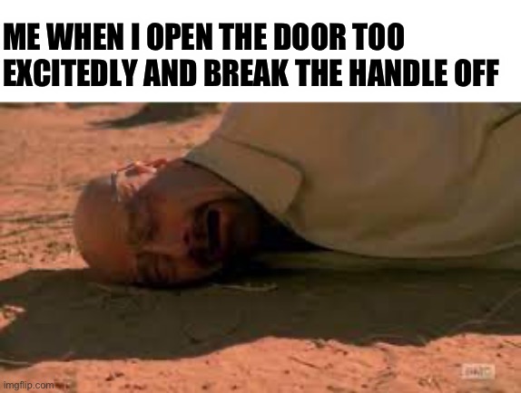 Doorknob noooo | ME WHEN I OPEN THE DOOR TOO EXCITEDLY AND BREAK THE HANDLE OFF | made w/ Imgflip meme maker