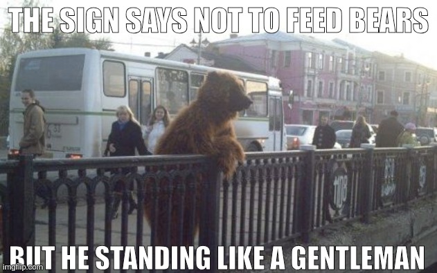 He a man, not a bear | THE SIGN SAYS NOT TO FEED BEARS; BUT HE STANDING LIKE A GENTLEMAN | image tagged in memes,city bear,funny,gentleman | made w/ Imgflip meme maker
