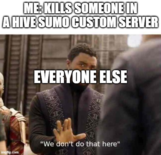 Hive Sumo Be Like... | ME: KILLS SOMEONE IN A HIVE SUMO CUSTOM SERVER; EVERYONE ELSE | image tagged in we dont do that here,hivemc | made w/ Imgflip meme maker