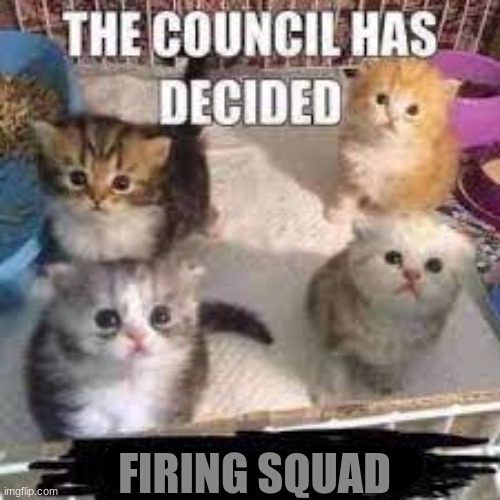 the council has decided | FIRING SQUAD | image tagged in the council has decided | made w/ Imgflip meme maker
