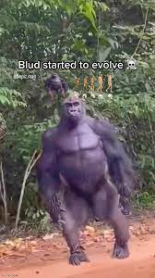 Blud is evolving ? | image tagged in evolution,funny memes,monkey,wtf | made w/ Imgflip meme maker