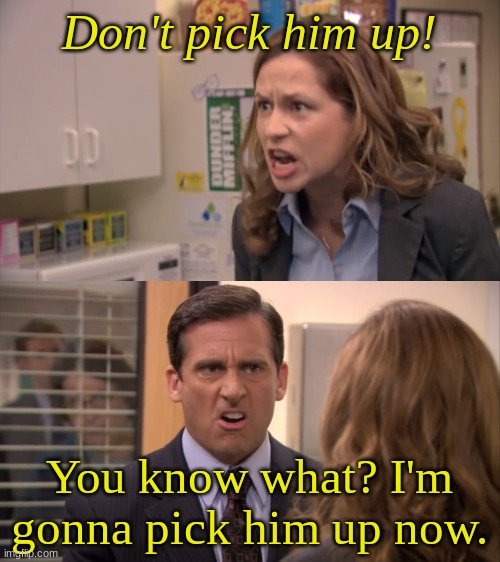 Office Even Harder | Don't pick him up! You know what? I'm gonna pick him up now. | image tagged in office even harder | made w/ Imgflip meme maker