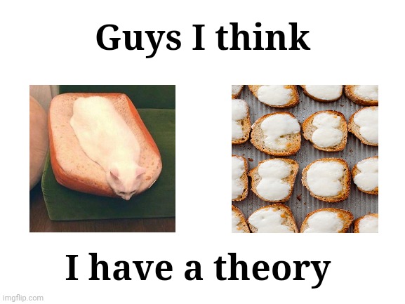 Melted mozzarella cat bread | Guys I think; I have a theory | image tagged in blank white template,i have a theory,melted mozzarella on bread,cats,cat,memes | made w/ Imgflip meme maker