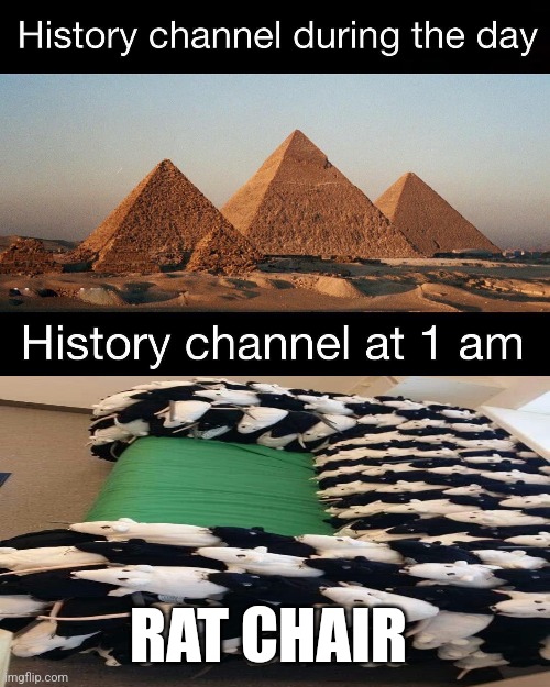 Rat chair at 1 am | RAT CHAIR | image tagged in history channel at 1 am | made w/ Imgflip meme maker