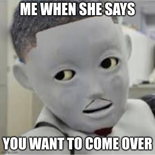 rizz | ME WHEN SHE SAYS; YOU WANT TO COME OVER | image tagged in rizz | made w/ Imgflip meme maker