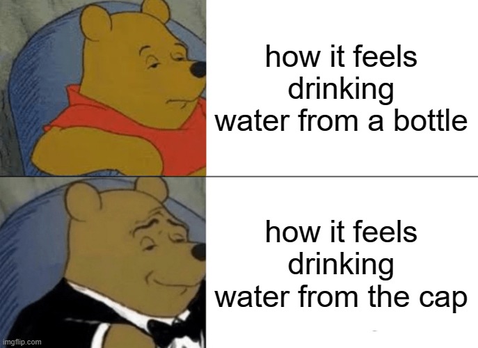 it just hits differint | how it feels drinking water from a bottle; how it feels drinking water from the cap | image tagged in memes,tuxedo winnie the pooh,water | made w/ Imgflip meme maker