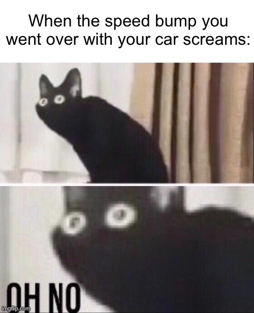 Its still a win because your car will get a bit of red paint | When the speed bump you went over with your car screams: | image tagged in oh no cat,memes,funny,car,scream | made w/ Imgflip meme maker