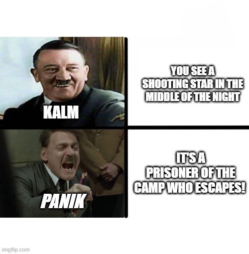 Kalm/Panik | YOU SEE A SHOOTING STAR IN THE MIDDLE OF THE NIGHT; KALM; IT'S A PRISONER OF THE CAMP WHO ESCAPES! PANIK | image tagged in memes,blank starter pack,hitler,kalm panik | made w/ Imgflip meme maker