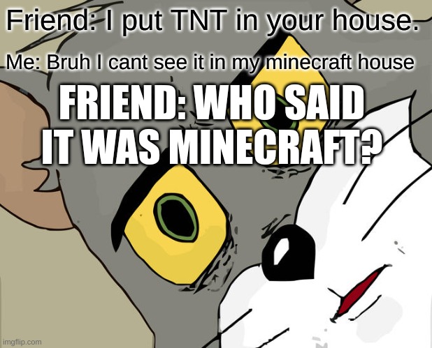 loud boom | Friend: I put TNT in your house. Me: Bruh I cant see it in my minecraft house; FRIEND: WHO SAID IT WAS MINECRAFT? | image tagged in memes,unsettled tom | made w/ Imgflip meme maker