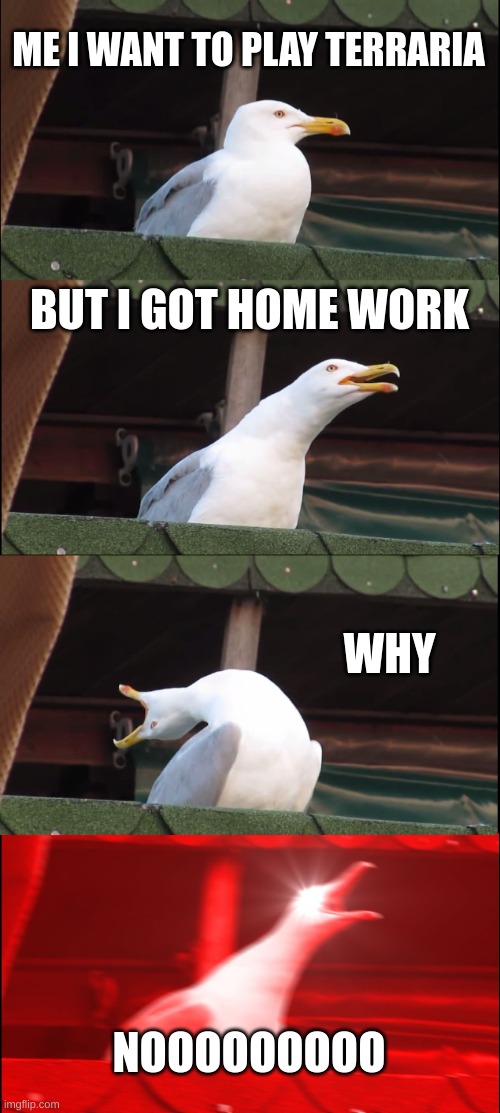 Inhaling Seagull Meme | ME I WANT TO PLAY TERRARIA; BUT I GOT HOME WORK; WHY; NOOOOOOOOO | image tagged in memes,inhaling seagull | made w/ Imgflip meme maker